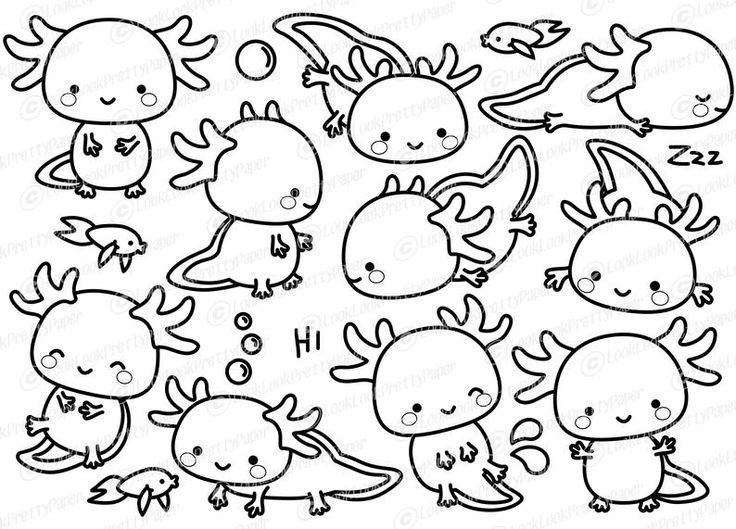 Axolotl coloring page