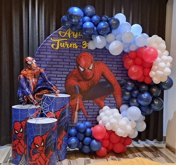 Spiderman birthday decoration kit