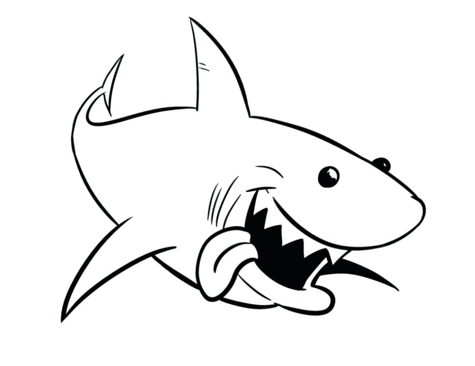 Shark coloring pages