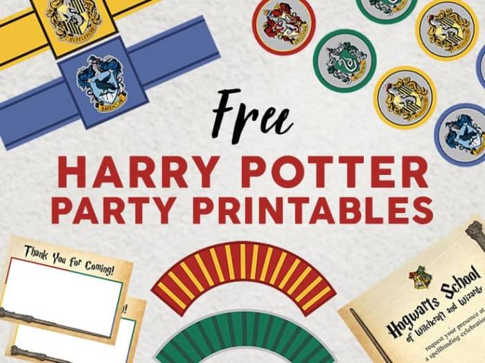 Harry potter party decoration