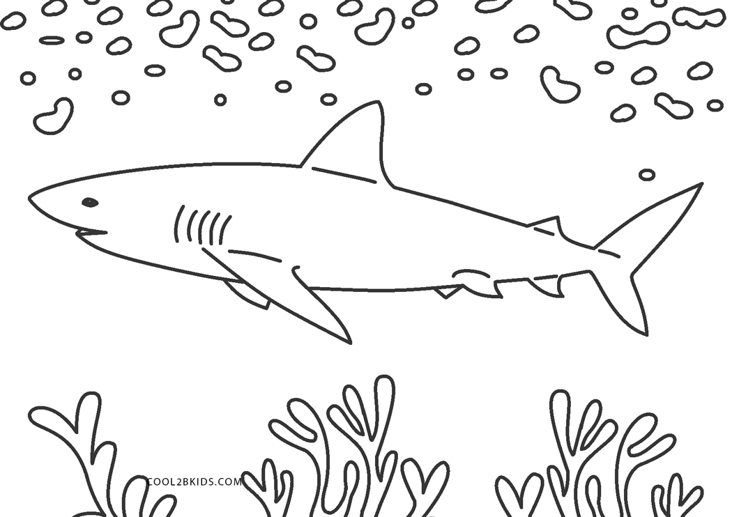 Shark coloring pages kids white megalodon great outline drawing cartoon clipart hungry printable book library world popular clipartmag getdrawings cliparts