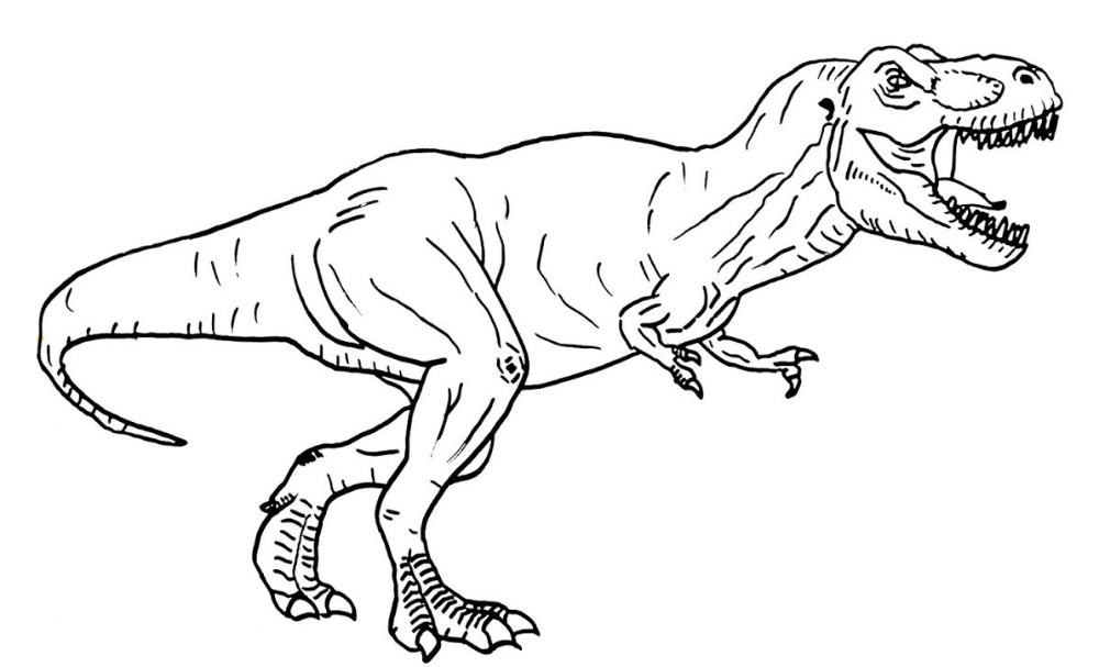 T rex dinosaur coloring pages