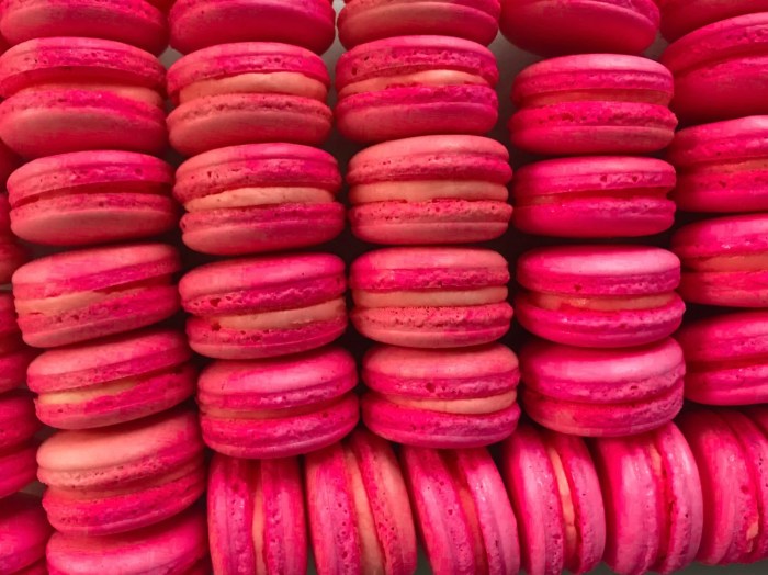 Powder food coloring for macarons