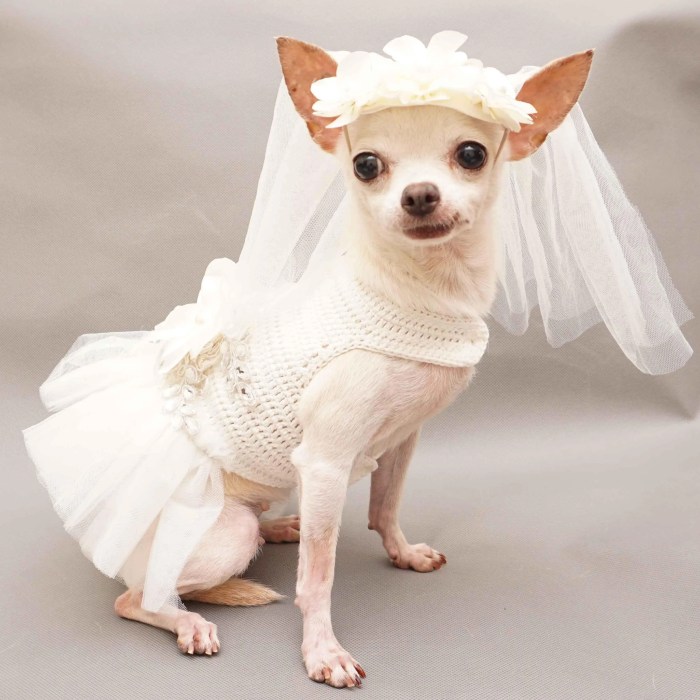 Large dog wedding dress